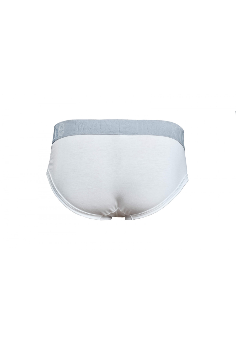 BASIC MAX Slip Paquet de 5