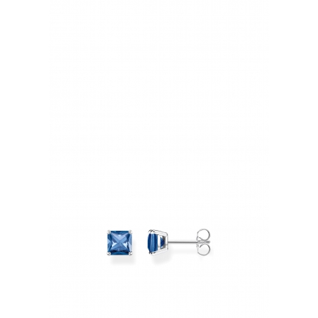 Ear Studs Blue Stones Silver
