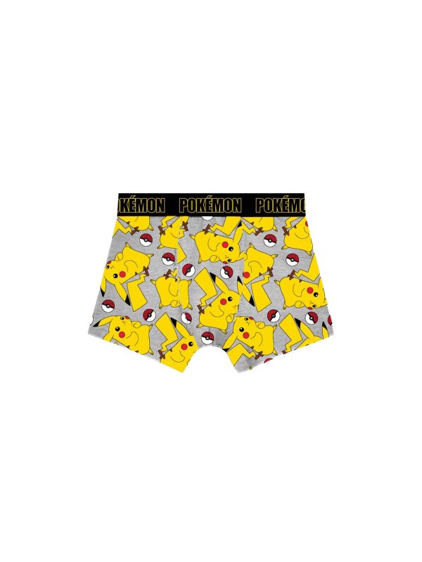 Pokémon - Boxer (2 Pack)
