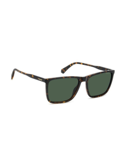 Polaroid PLD 4180/S - 086/UC Havana – Black