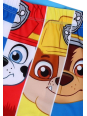 Paw Patrol Bade-Boxershorts