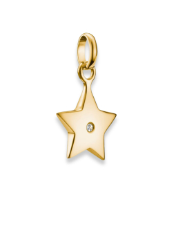 Charm-Anhänger Stern mit weißem Stein Connect vergoldet