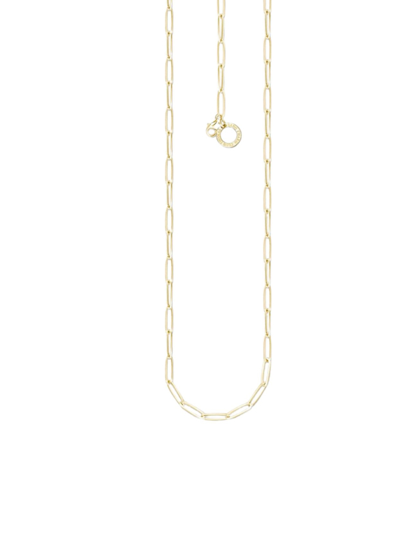 Collier charm