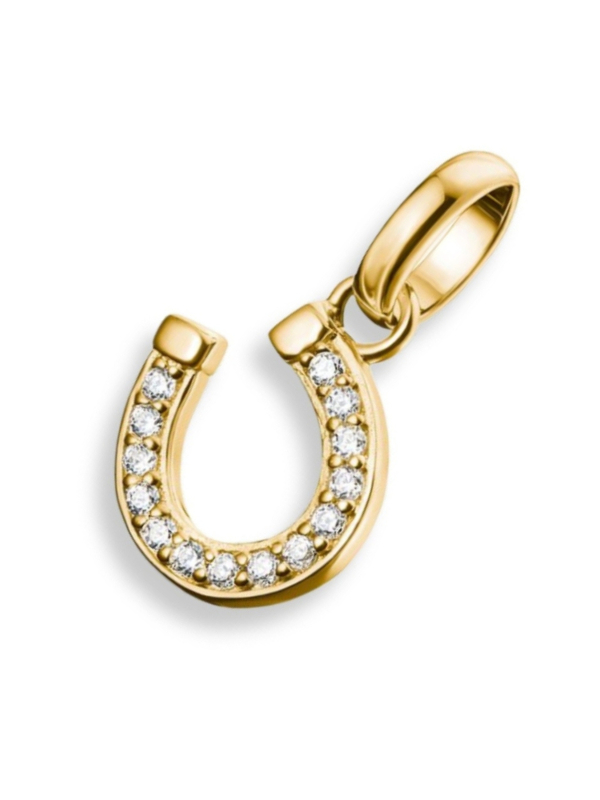 Charm Pendant Horseshoe With Stones Connect Gold-Plated