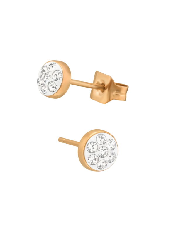 Maxte SES-634-4-RGP-CCH (PP7) Roségoud Chirurgisch Staal… | Diademita