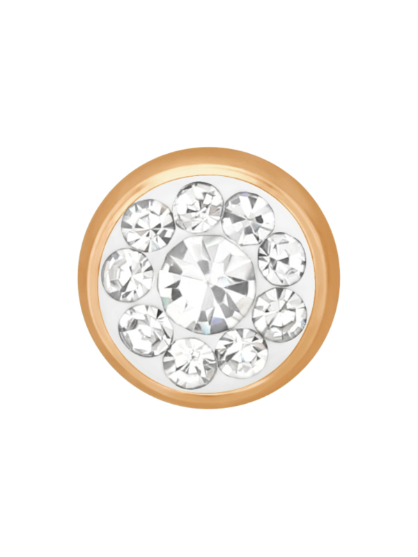 Puces d'Oreilles Rondes 5 mm Acier Chirurgical Or Rose avec Cristal
