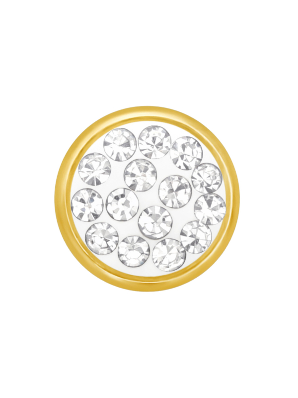Maxte SES-634-6-GP-CCH (PP7) Puces d'Oreilles Rondes 6… | Diademita