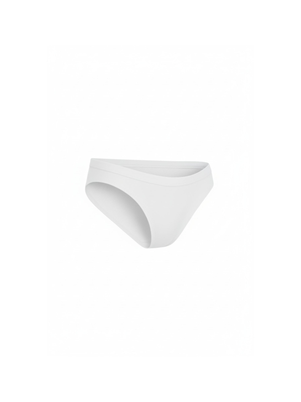 Maxte 8008 BASIC MAX Slip Panties 5 Pack | Diademita