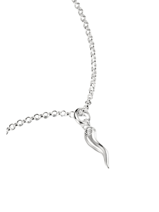 Thomas Sabo CC1328-001-21 Silver Charm Pendant… | Diademita