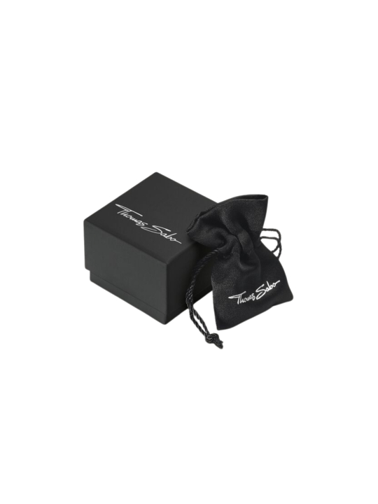 Thomas Sabo TR2277-637-21 Ring ornaments, Silver | Diademita