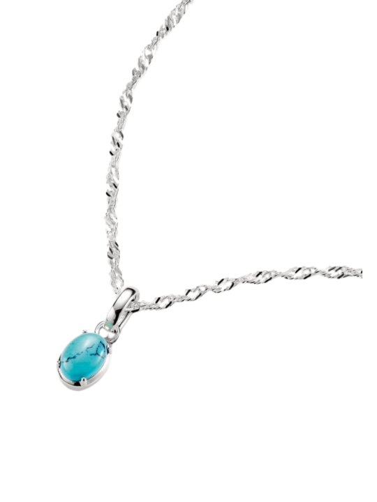 Silber Charm Anhänger Geburtsstein Dezember Connect