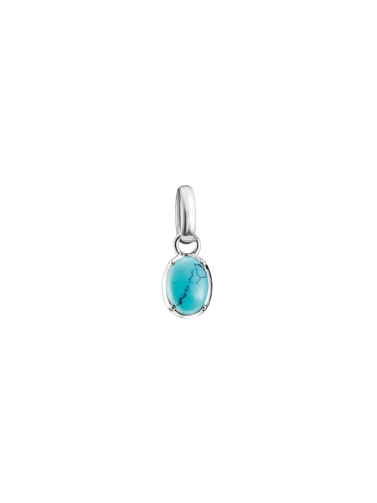 Silber Charm Anhänger Geburtsstein Dezember Connect