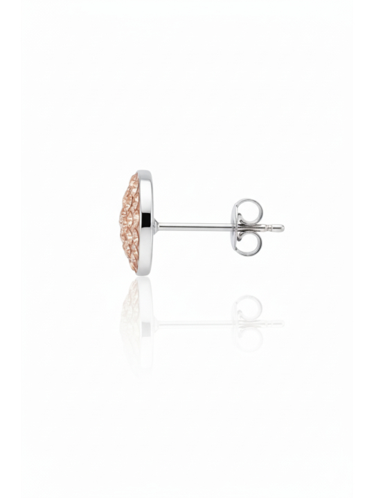 Circle Sterling Silver Ear Studs