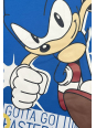 Disney 2900003127 Sonic 2-delige Set French Terry | Diademita