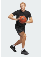 Adidas Sportswear JZ9663 Basketball Graphic Tee | Diademita