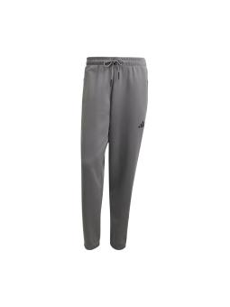 Z.N.E. Pants – Gray