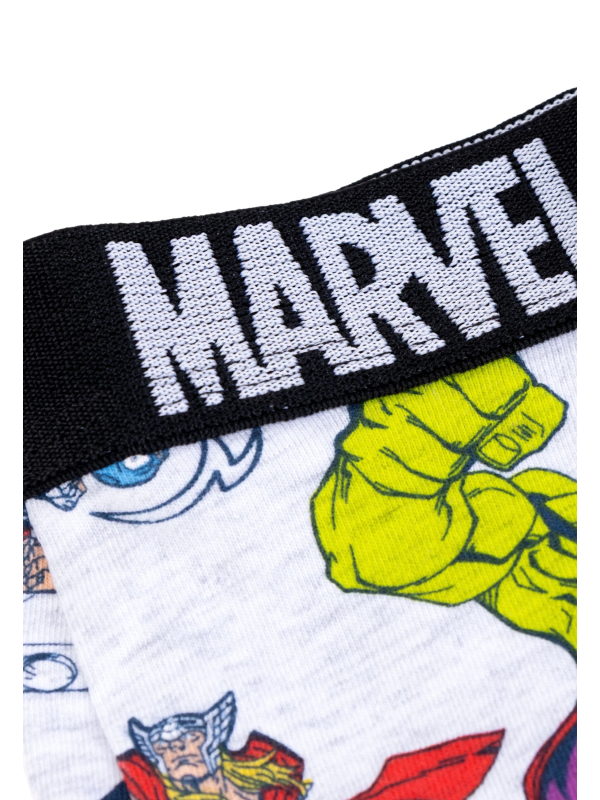 Cerda 2900003638 Marvel 2-Pack Single Jersey Boxershorts | Diademita