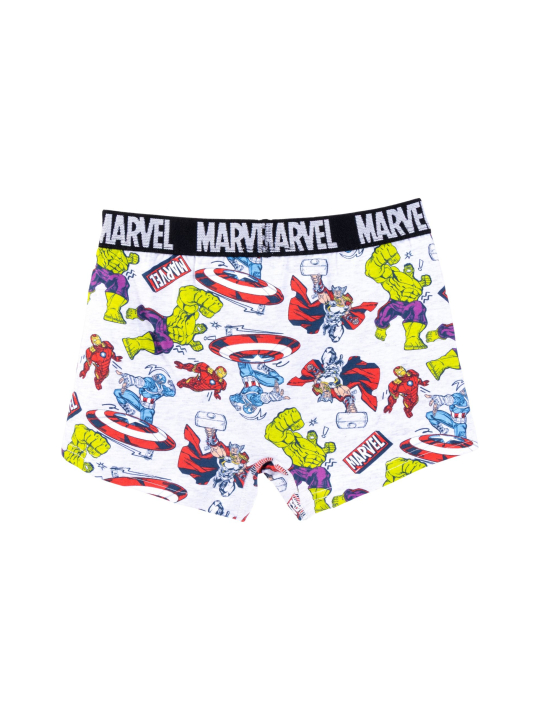 Cerda 2900003638 Marvel 2-Pack Single Jersey Boxershorts | Diademita