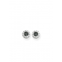 Ear Studs Classic Pavé Black