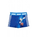 Schwimm-Boxer Sonic