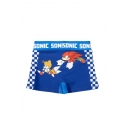 Schwimm-Boxer Sonic