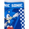 Schwimm-Boxer Sonic