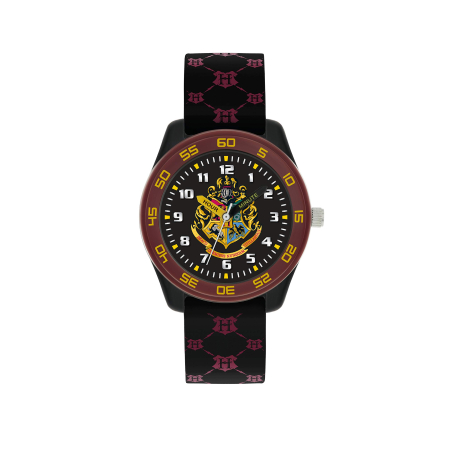Disney Harry Potter Time Teacher