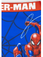 Spiderman Bade Boxer