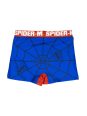 Spiderman Bade Boxer